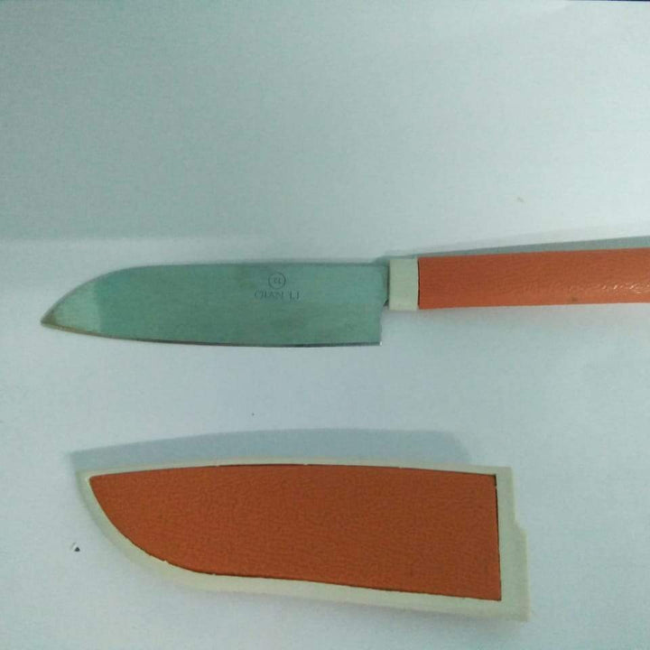 092 Kitchen Small Knife With Cover -