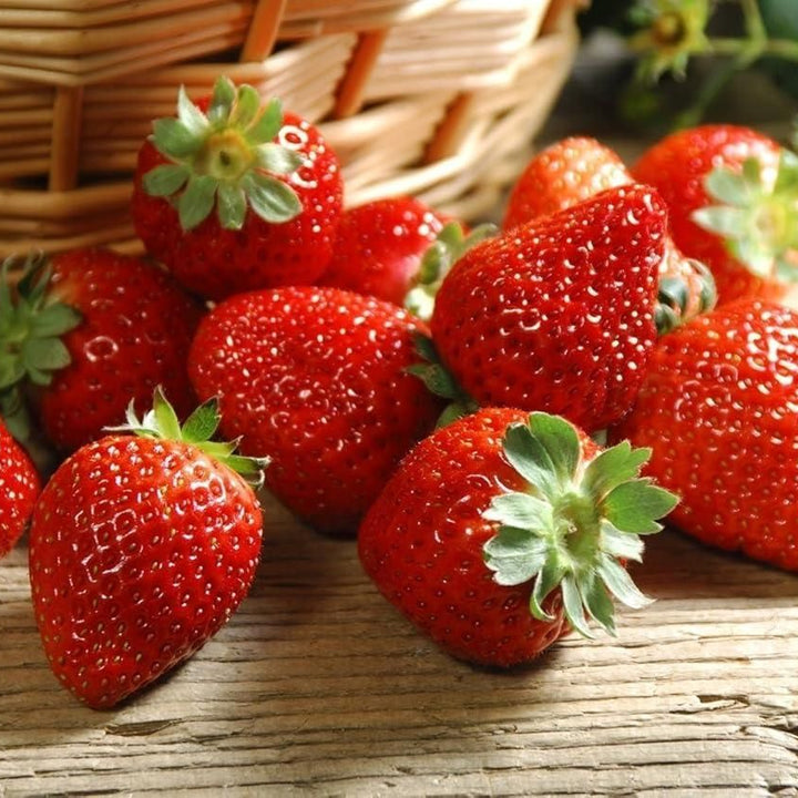 Fresh Sweet Strawberry Seeds (Hybrid) (Seeds 20)