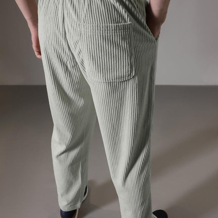 Combo of 2 Men's Caudray Fabric Stylish Pants