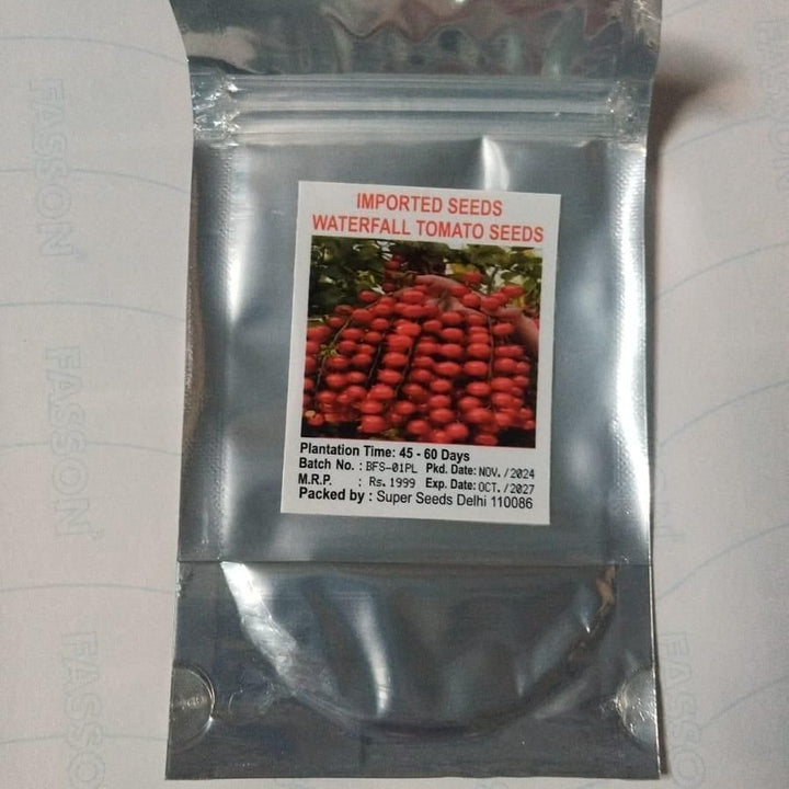 Waterfall Tomato Seeds