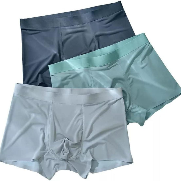 Men's Ice Silk Briefs Boxers Pack of 5