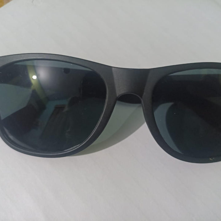 Unisex Wayfair Sunglasses