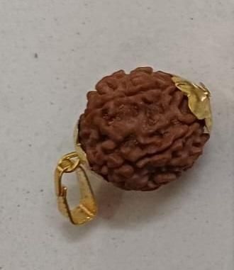 7 Mukhi Rudraksha With Cap