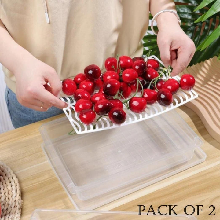 Fridge Storage Containers Box 28*20.5*5.5cm