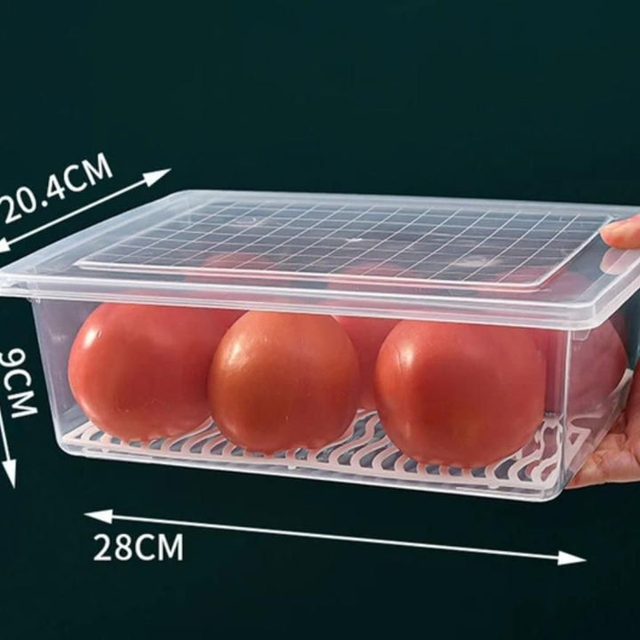 Fridge Storage Containers Box 28*20.4*9cm (Pack of 2)