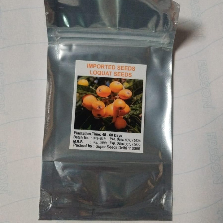 Five-star Loquat Seeds