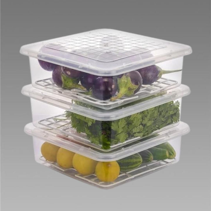 Fridge Storage Containers Box 28*20.5*5.5cm