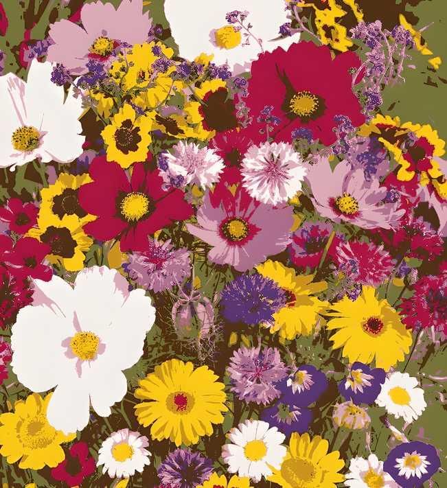 Varieties of Flower Seeds and Supplement