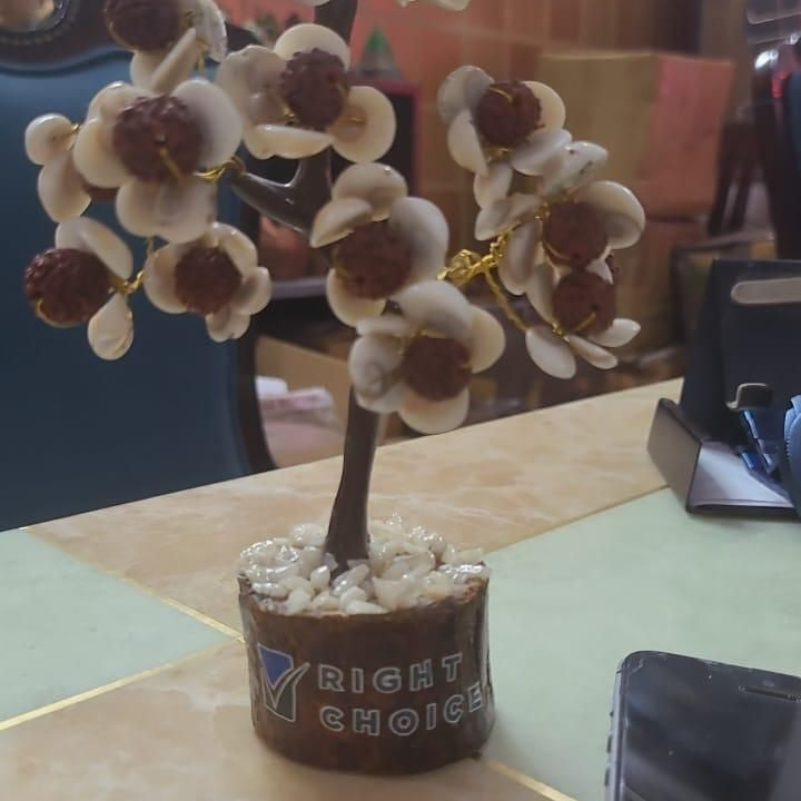 Gomti Chakra and Rudraksha Floral Design Stone Tree