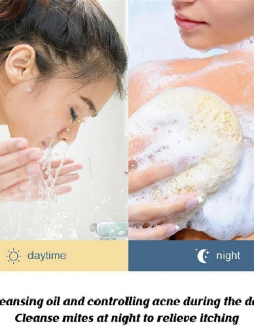 4629